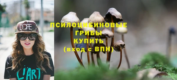 мяу мяу кристалл Алексин